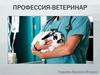 Профессия - ветеринар