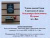 Улица имени Героя Советского Союза Владимира Яковлевича Петрова в г. Дно