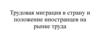 Трудовая миграция в страну и положение иностранцев на рынке труда