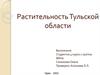 Растительность Тульской области