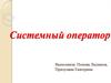 Системный оператор