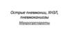 Острые пневмонии, ХНЗЛ, пневмоканиозы. Макропрепараты
