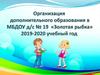 Организация дополнительного образования в МБДОУ д/с № 19 «Золотая рыбка» 2019-2020 учебный год