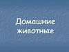 Домашние животные