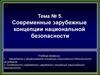 Современные зарубежные концепции национальной безопасности. (Тема 5)