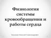 Физиология системы кровообращения и работы сердца