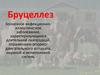 Инфекционно-аллергическое заболевание бруцеллез