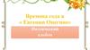 Времена года в « Евгении Онегине». Поэтический альбом