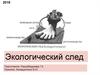 Экологический след