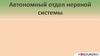 Автономный отдел нервной системы