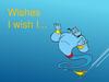 Wishes I wish I