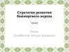 Стратегия развития башкирского народа. Проект