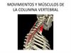 Movimientos y músculos de la columna vertebral