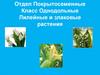 Отдел Покрытосеменные Класс Однодольные Лилейные и злаковые растения