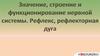 Значение, строение и функционирование нервной системы. Рефлекс и рефлекторная дуга