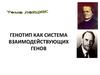 Генотип как система взаимодействующих генов