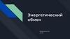 Энергетический обмен