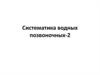 Систематика водных позвоночных-2