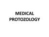 Medical protozology