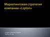 Маркетинговая стратегия компании «Lipton»