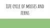 Life cycles of mosses and ferns