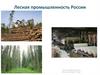Лесная промышленность России. 8 класс