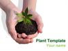 Plant Template