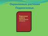 Охраняемые растения Подмосковья