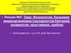 Физиология, биохимия микроорганизмов, прокариотов-бактерий, эукариотов-простейших, грибов