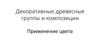Декоративные древесные группы и композиции. Применение цвета