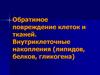 Обратимое повреждение клеток и тканей. Внутриклеточные накопления липидов, белков, гликогена