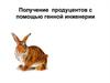 Получение продуцентов с помощью генной инженерии