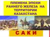 Племена эпохи раннего железа на территории Казахстана. Саки и уйсуны
