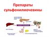 Препараты сульфонилмочевины