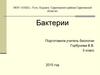 Бактерии. Строение бактерий