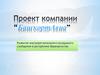 Компания “БашҡортАвиа”. Проект развития внутрирегионального воздушного сообщения в республике Башкортостан