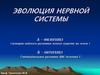 Эволюция нервной системы