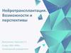 Нейротрансплантация. Возможности и перспективы