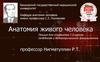 Анатомия живого человека