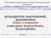Возбудители заболеваний, вызываемых грам (-) кокками: нейссерии: N.gonorrhoeae, N.meningitidis