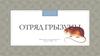Отряд грызуны