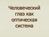 Человеческий глаз как оптическая система