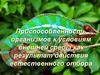 Приспособленность организмов к условиям внешней среды как результат действия естественного отбора