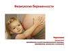 Физиология беременности