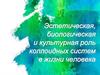 Эстетическая, биологическая и культурная роль коллоидных систем в жизни человека