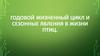 Годовой жизненный цикл и сезонные явления в жизни птиц