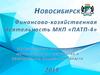 Финансово-хозяйственная деятельность МКП "ПАТП-4", г. Новосибирск