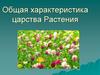 Общая характеристика царства Растения