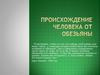 Происхождение человека от обезьяны