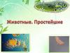 Животные. Простейшие